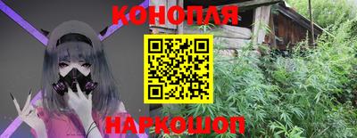наркотики Пугачёв
