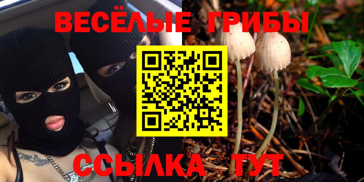 Псилоцибиновые грибы MAGIC MUSHROOMS Архангельск